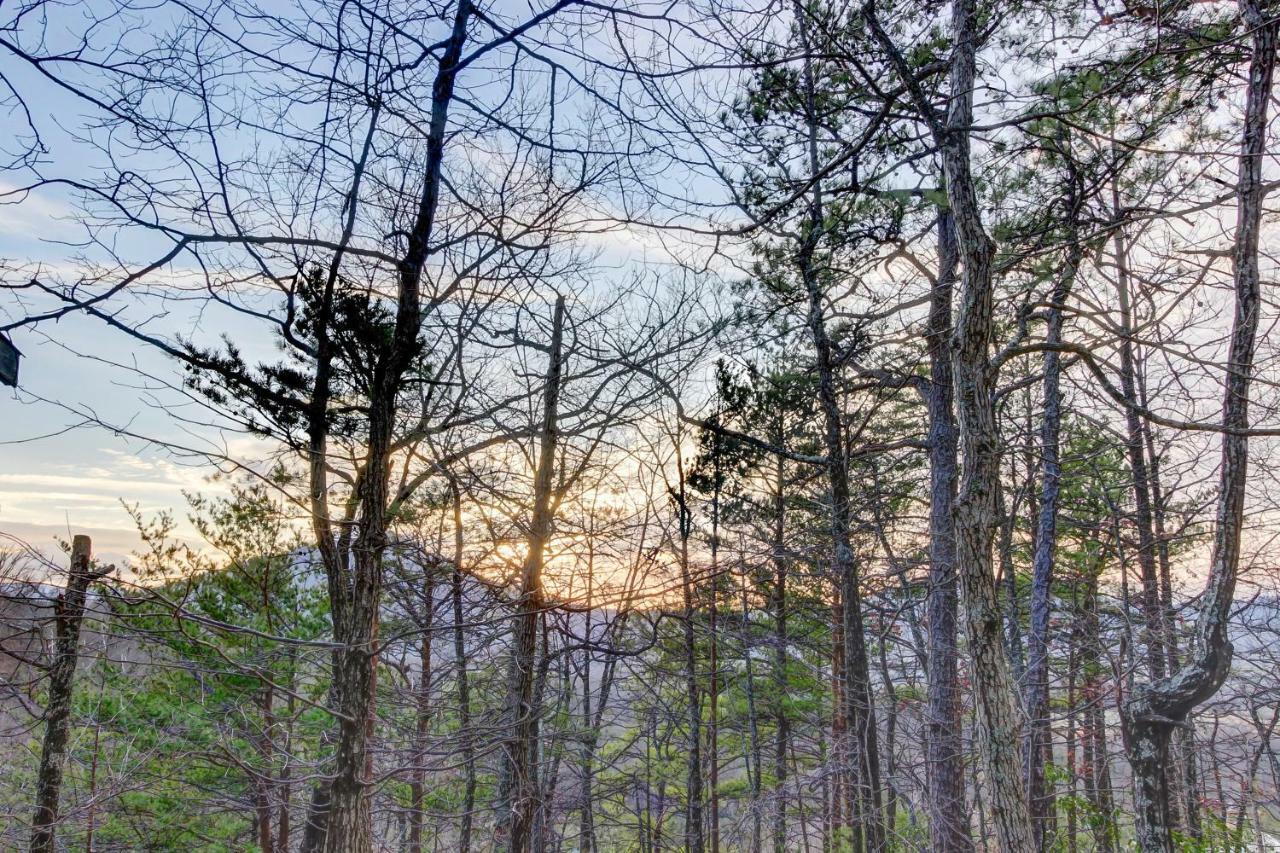 Misty View Cabin Hatchertown Exterior foto