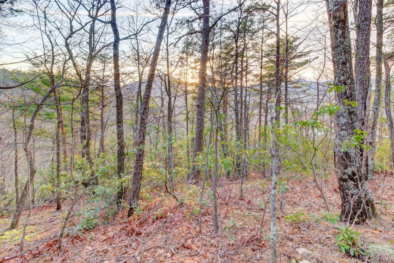 Misty View Cabin Hatchertown Exterior foto
